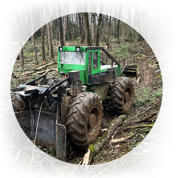 abattage forestier Auxerre