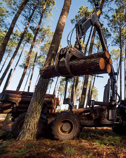 Vente de bois de chauffage à Auxerre 