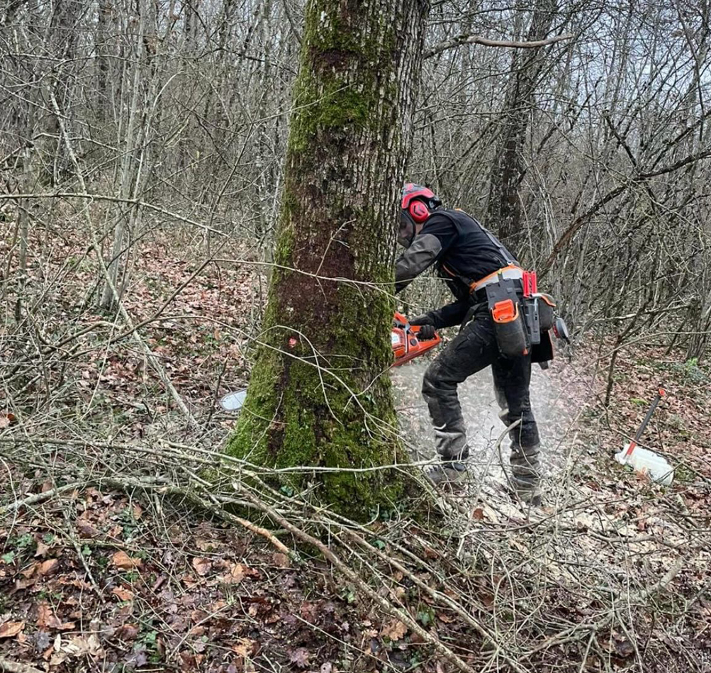 Services de débardage dans l'Yonne (89)