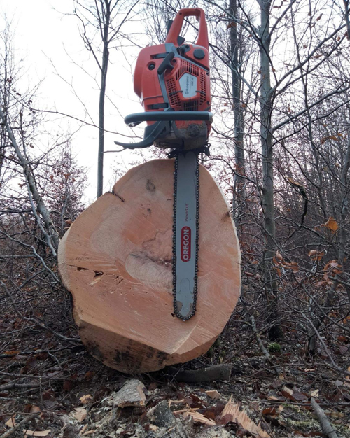 Vente de bois de chauffage dans l'Yonne (89)